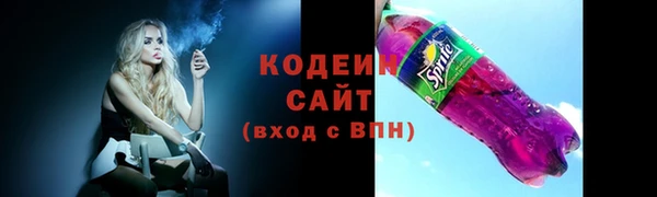 хмурый Семилуки