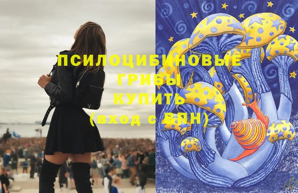 метадон Армянск